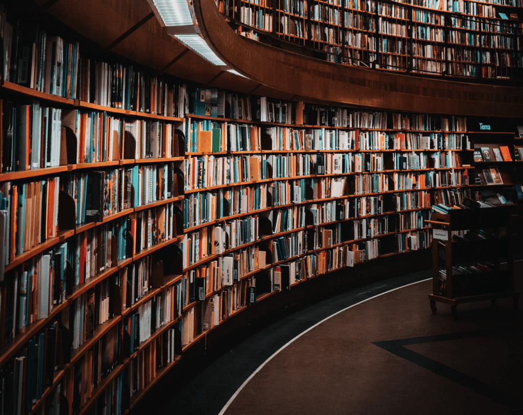 “Der Schatz in der Bibliothek” – eine Geschichte von Raphaela Sohm