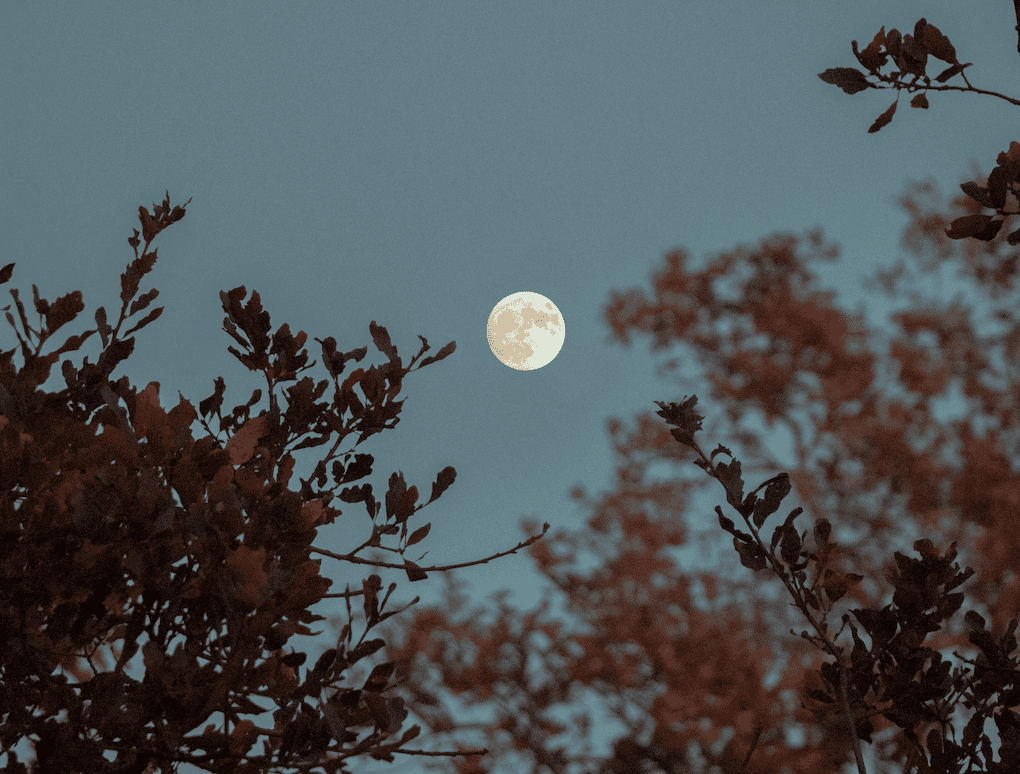 “Die Mondstadt” – eine Geschichte von Selina Herzog