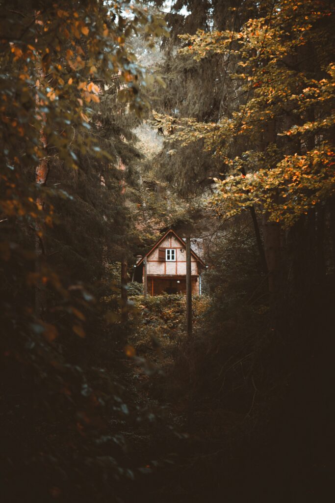 «Die Tür im Wald» – Eine Geschichte von Alissa Neuenschwander