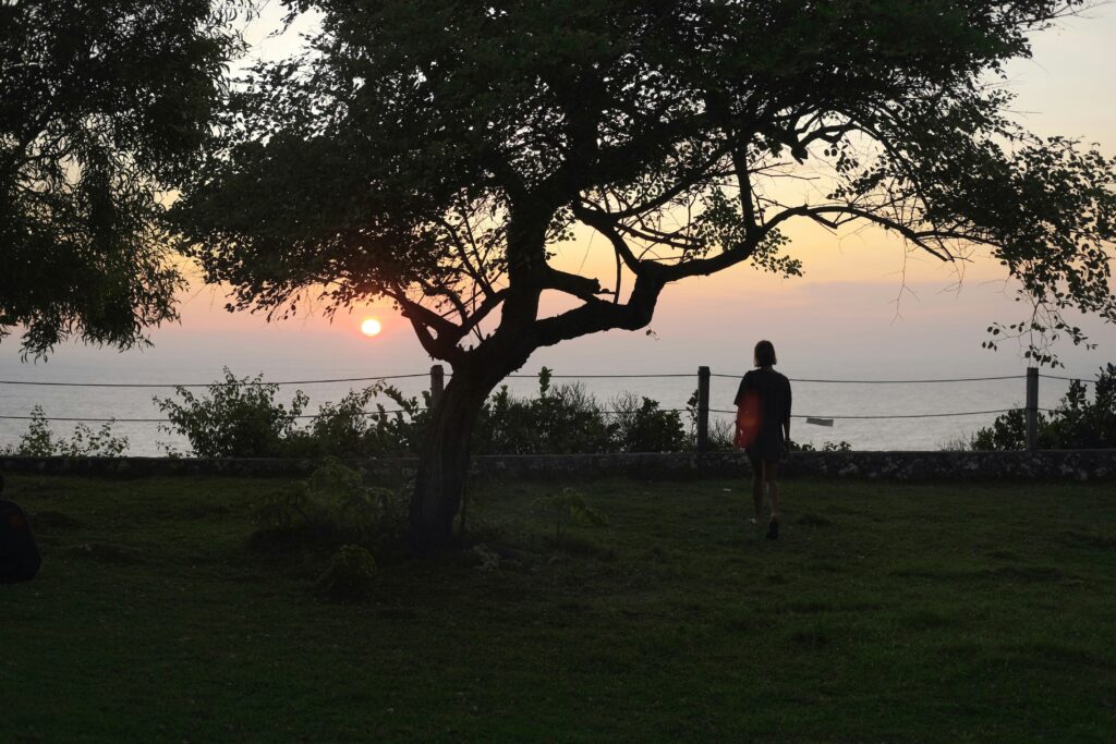 «Vergissmeinnicht» – Eine Geschichte von Lea Wahrenberger