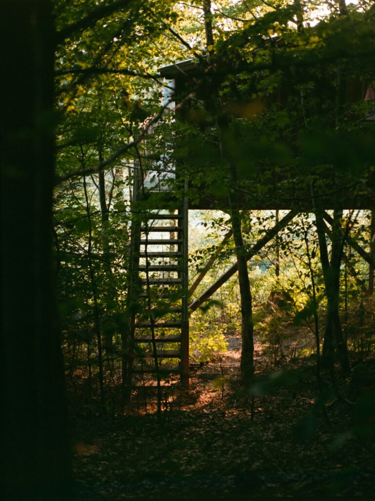«Zwischen dem Leben» – Eine Geschichte von Laura Zanvit