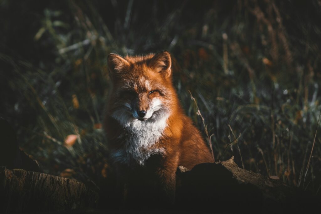 «Nicht alles, was wir sehen…:» – Eine Geschichte von Victoria Engel
