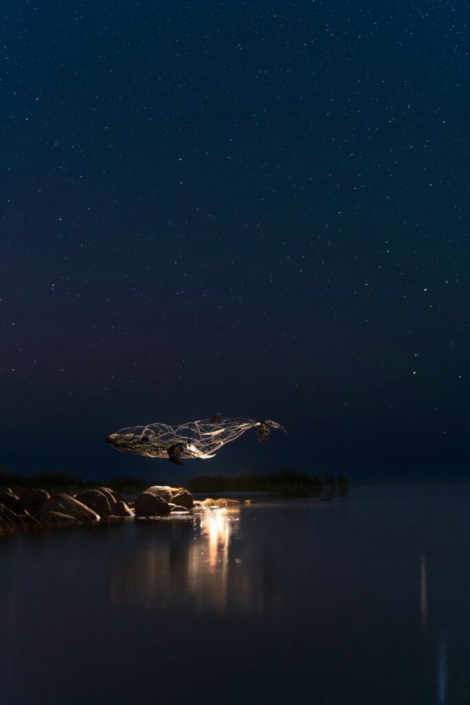 «A Grieving Star» – Eine Geschichte von Isabella Zimmerli