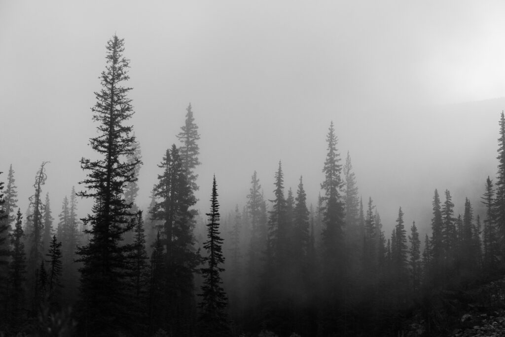 «Ich laufe nicht mehr davon» – Eine Geschichte von Selina Herzog