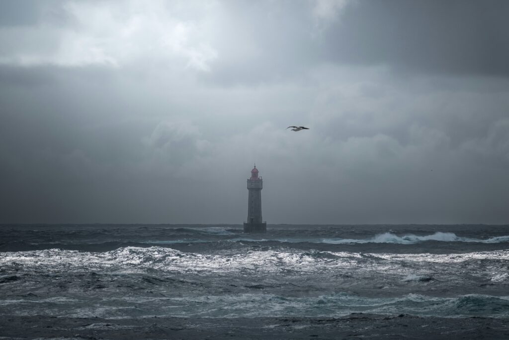 «Pechvogel» – Eine Geschichte von Louise Aerni