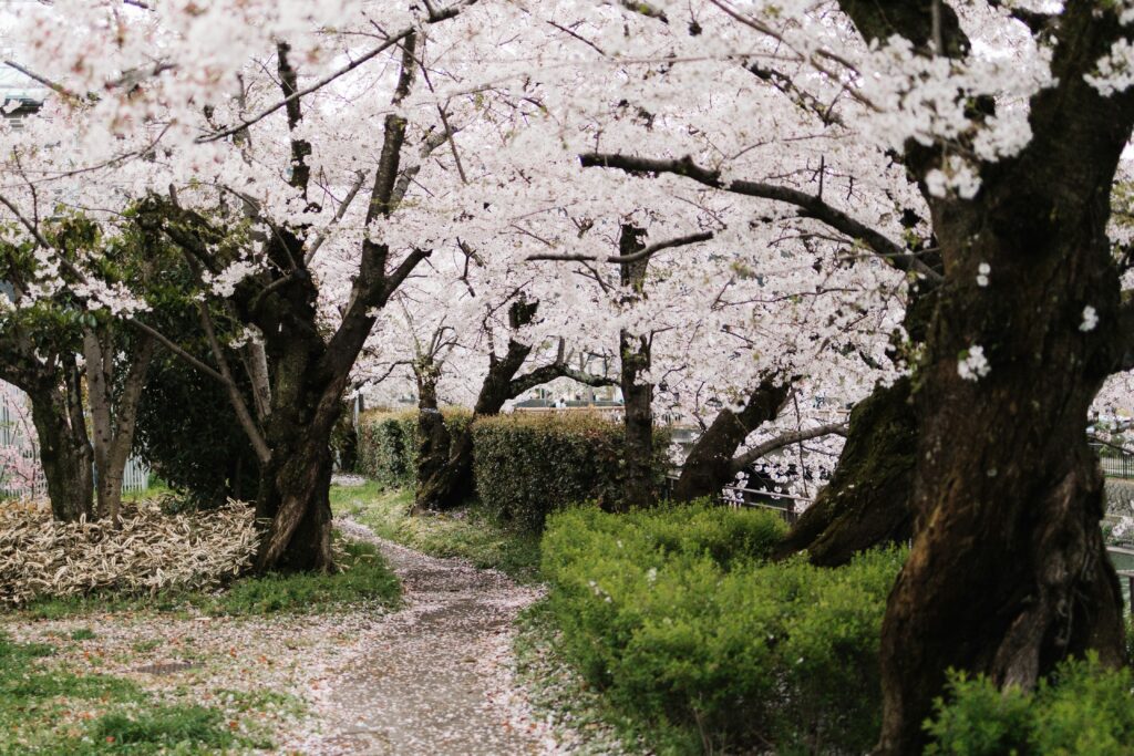 «Das perfekte Nicht-Perfekt-Sein» – Eine Geschichte von Mayla Goldinger