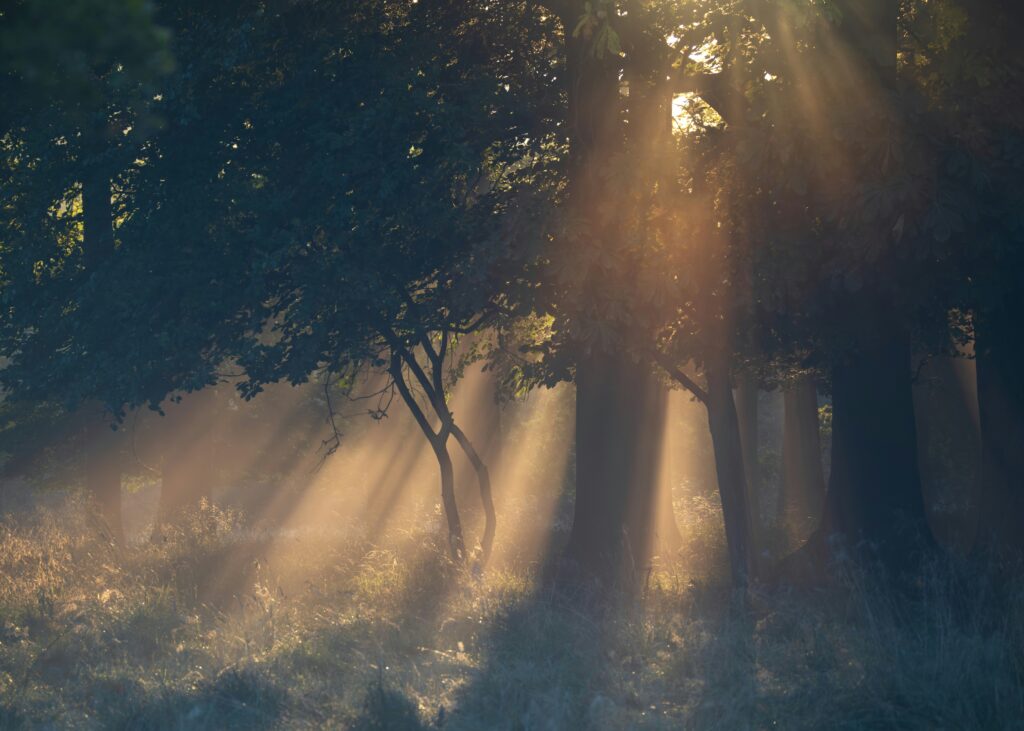 «Freundschaft zwischen Klein und Gross» – Eine Geschichte von Amélie Luginbühl
